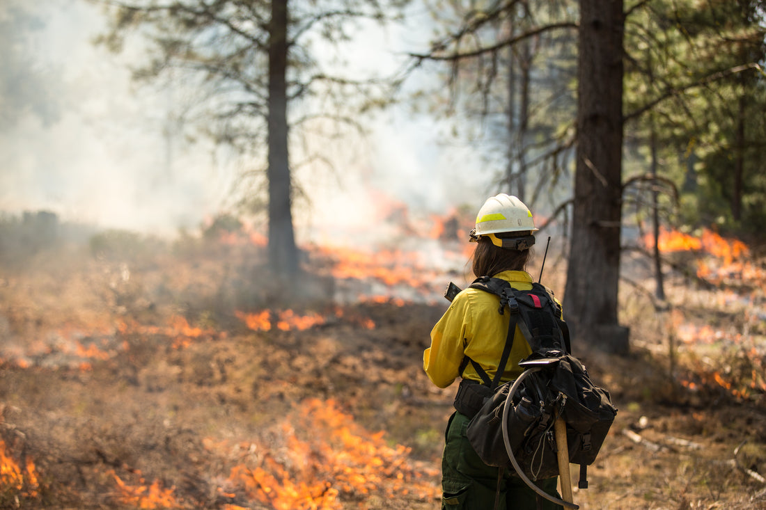 Wildfire Season: What You Need To Know