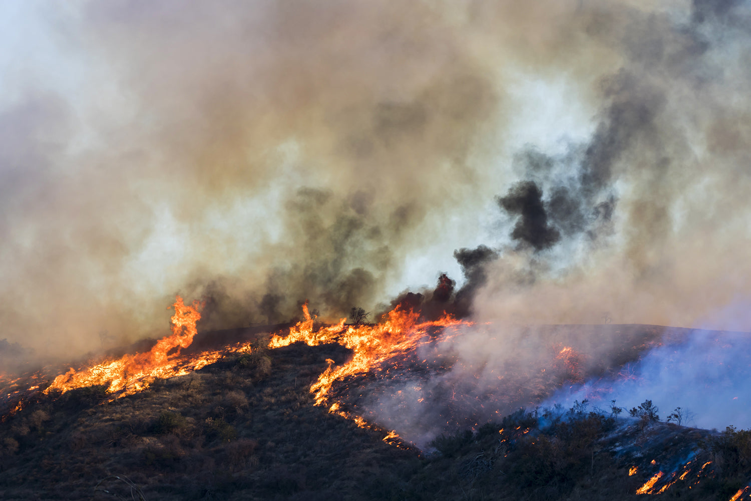 Wildfire burning through dry hillside
