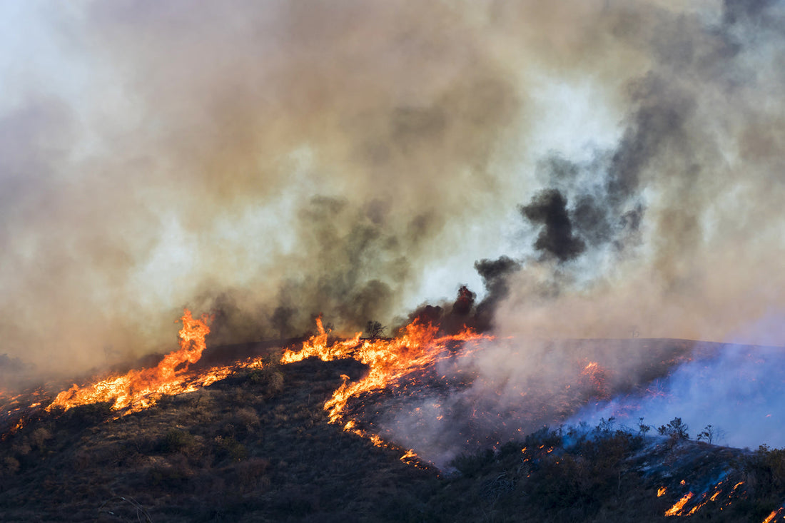 Wildfire burning through dry hillside