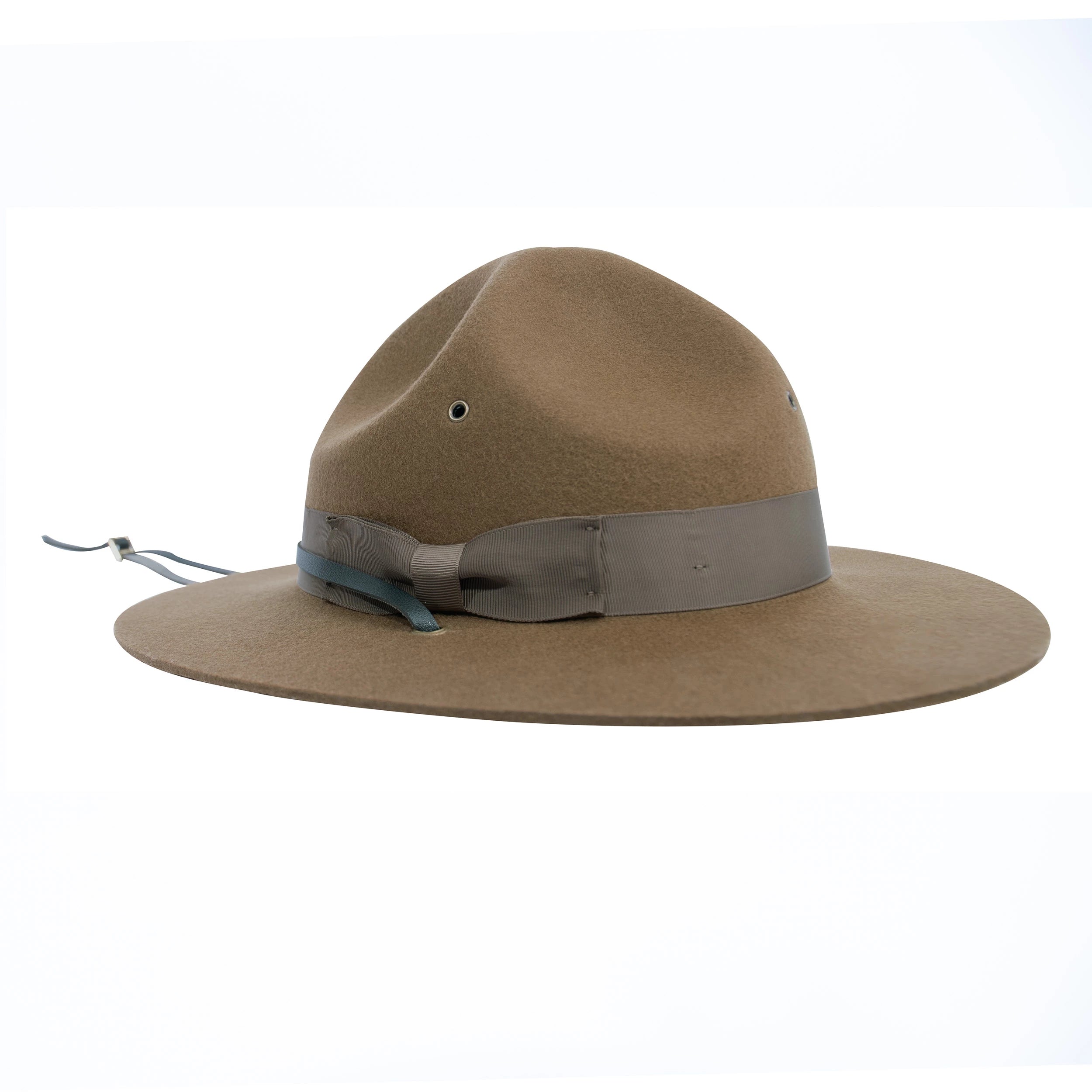 Campaign Hat