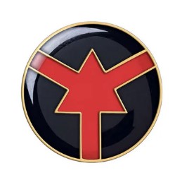 ASP Lapel Pin
