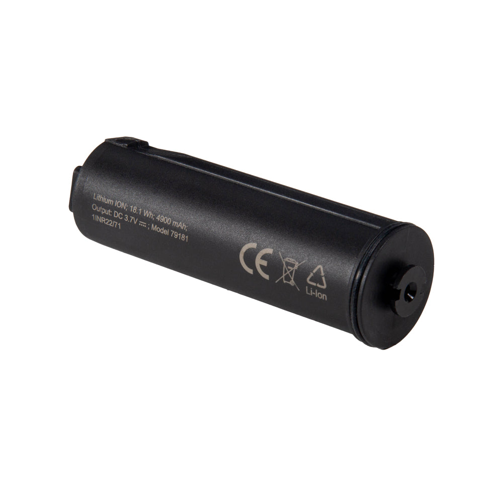 Black cylindrical battery with text and symbols on a white background