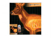 Champion Deer X-ray Target 6-pk - Champion Traps & Targets