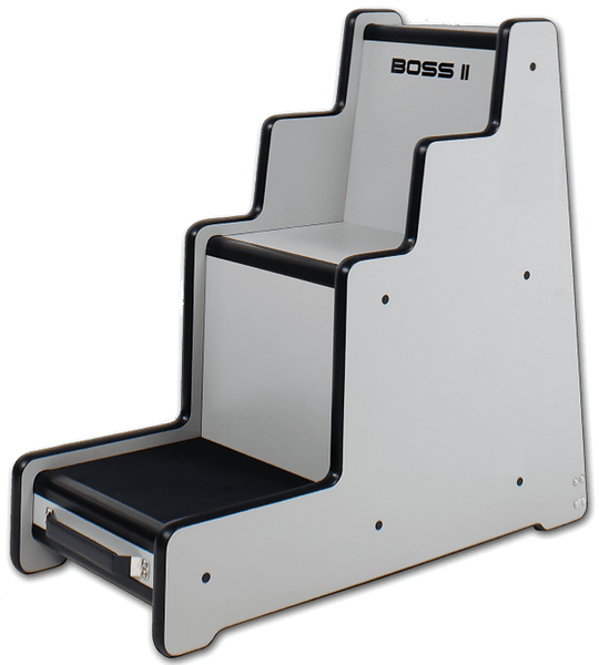 RSD-Security-BossII-