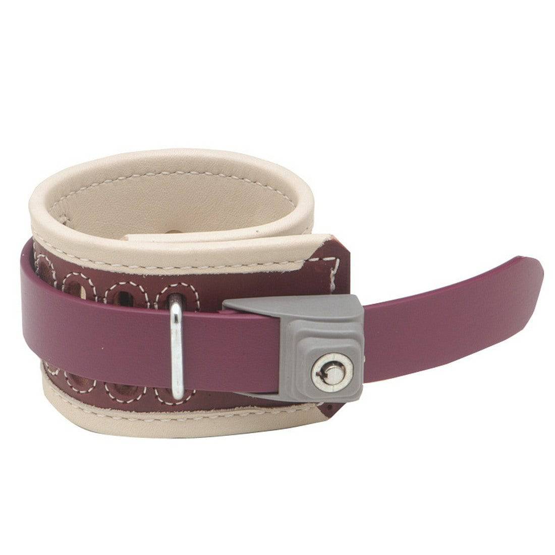 Humane Restraint Lock Humane Restraint Leather Locking Ankle Restraints