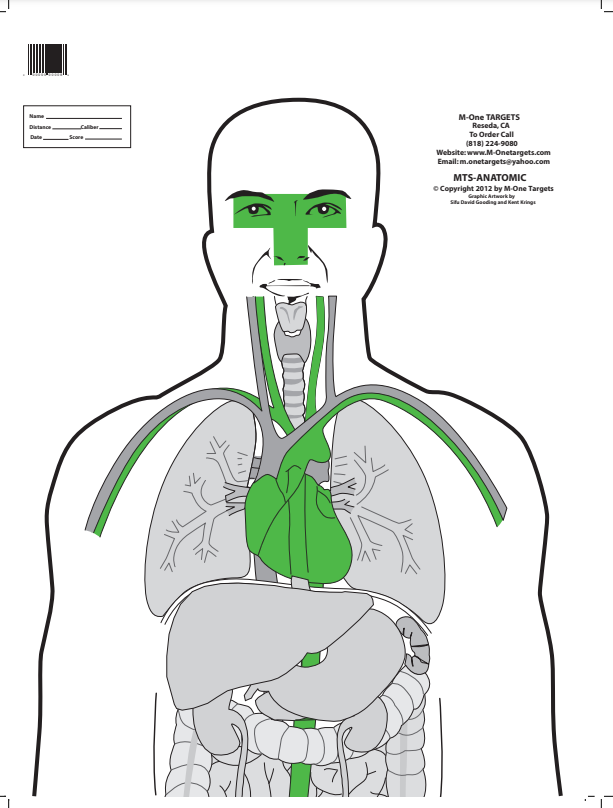 Anatomic Action Training Paper Shooting Target 18