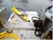 Pulse 12 - JW Fishers